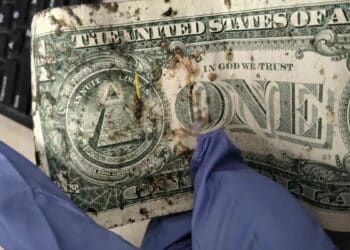 Beware of dollar bills that will no longer be accepted: find out how to exchange them