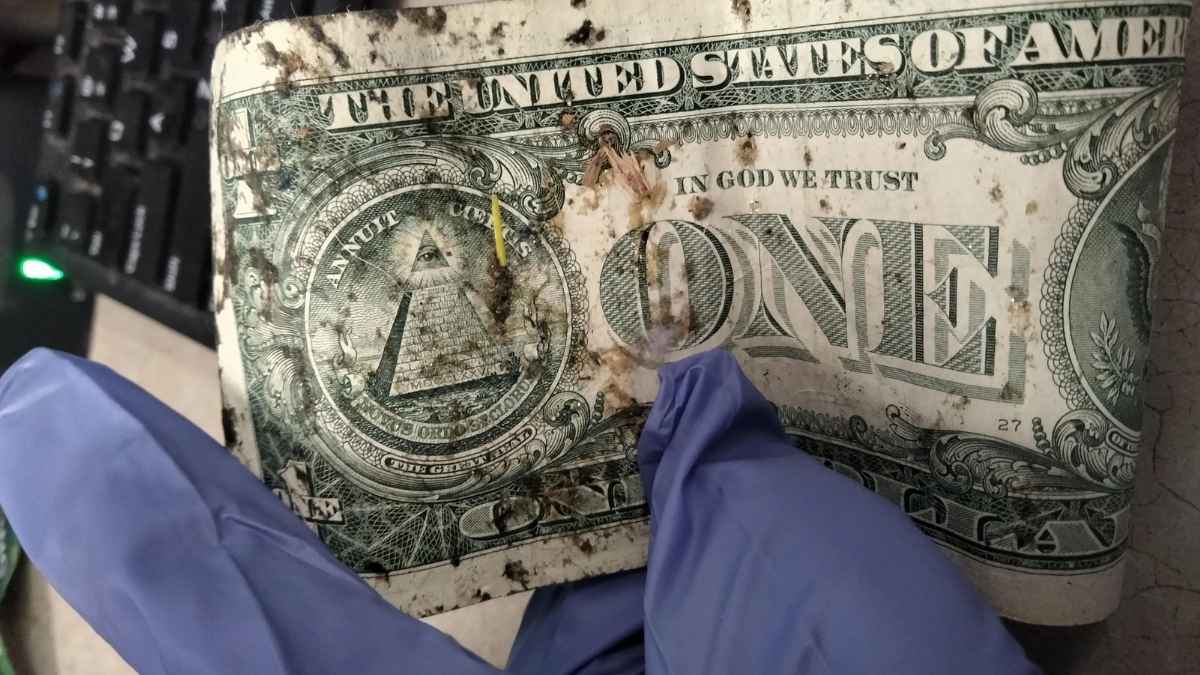 Beware of dollar bills that will no longer be accepted: find out how to exchange them