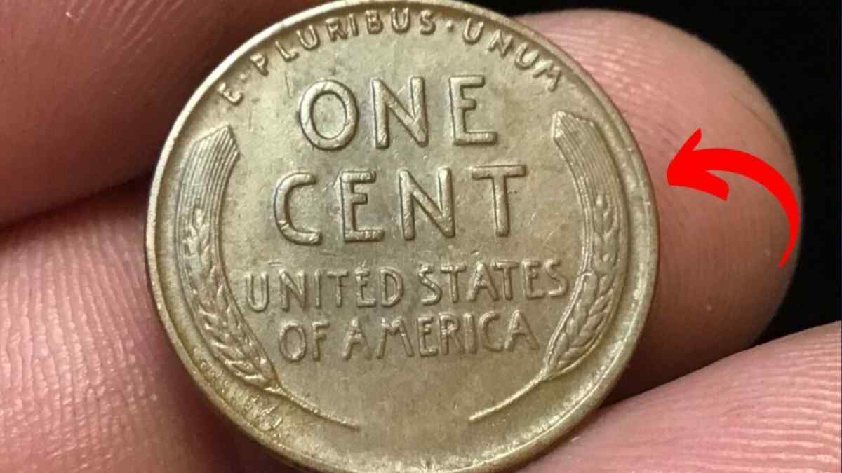 Close‑up of Lincoln Wheat Penny reverse with wheat‑stalk design, a rare coin still in circulation worth up to $440 million