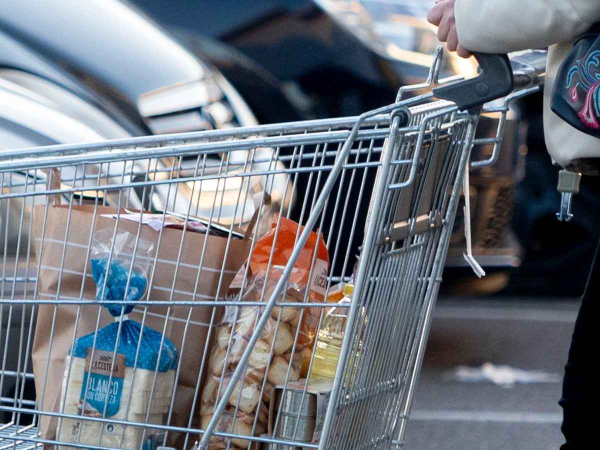 Shopper pushes grocery cart filled with paper bags in parking lot, highlighting supermarket carry-out assistance debate