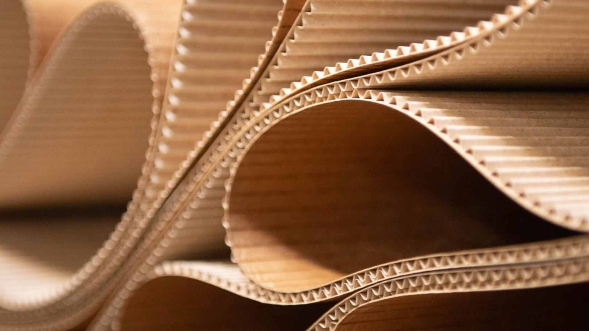 Detail of corrugated cardboard from International Paper, whose production will fall after the closure of four plants in the US in 2025.