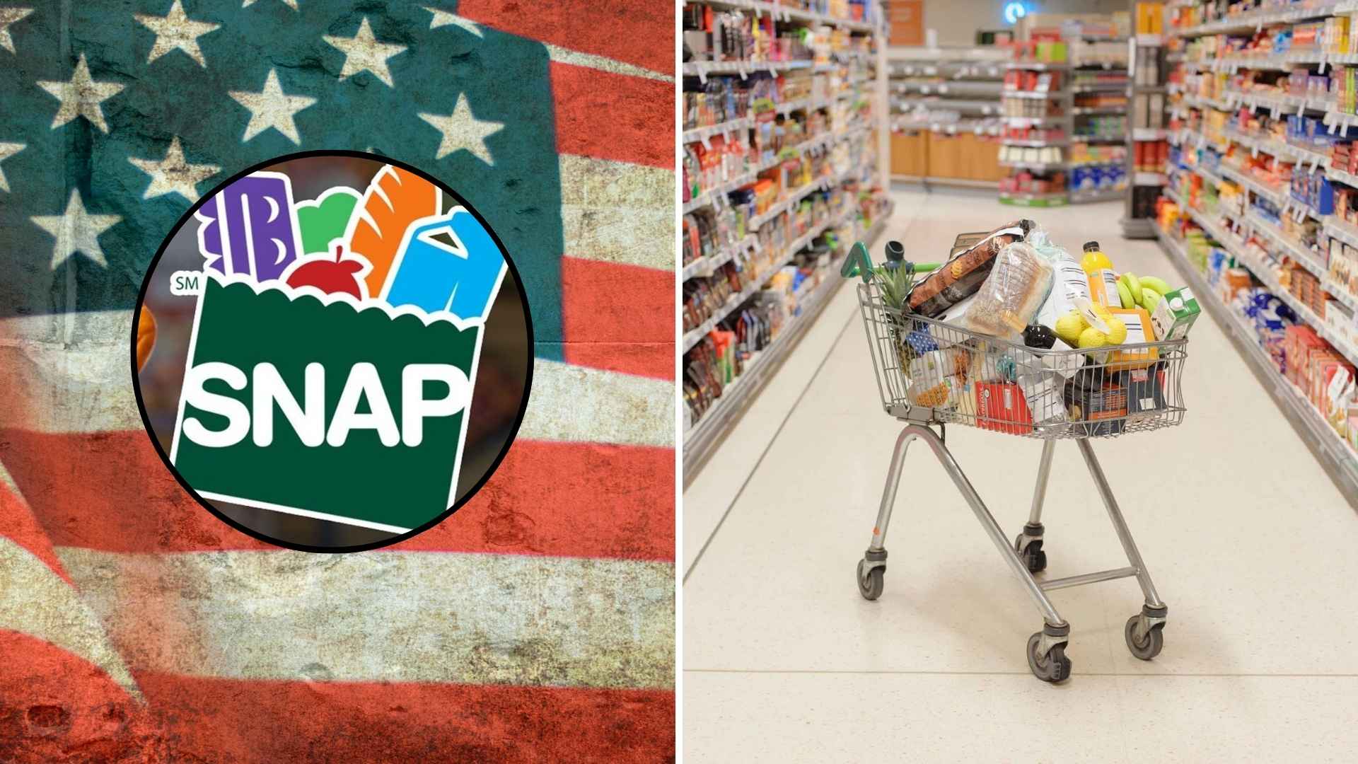 SNAP logo over U.S. flag alongside grocery cart brimming with food, illustrating ABAWD work-rule relief for adults 18-54.