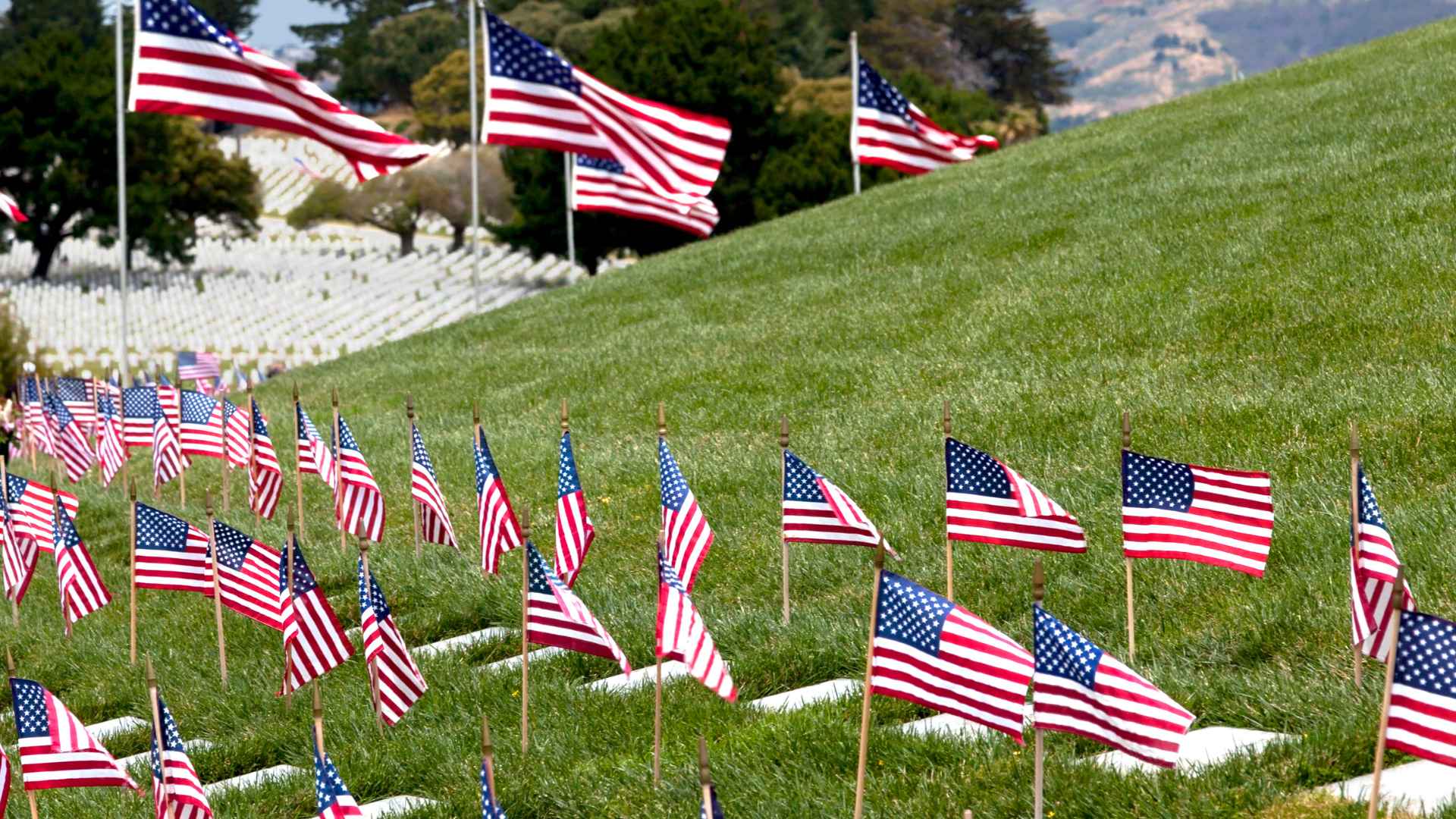 Rows of American flags on graves symbolize deceased workers whose families may claim the $255 Social Security lump-sum death payment.