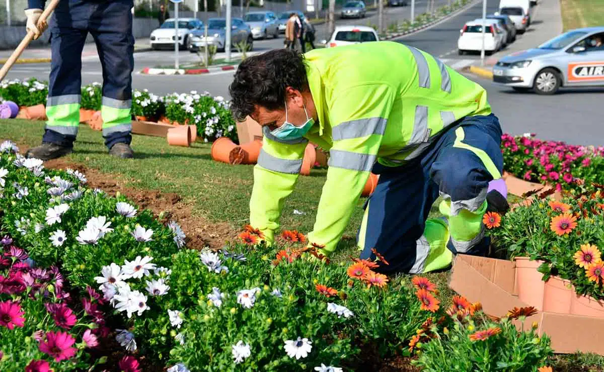 Se necesitan 18 personas para como auxiliares de jardinería: sueldos 1.200 euros