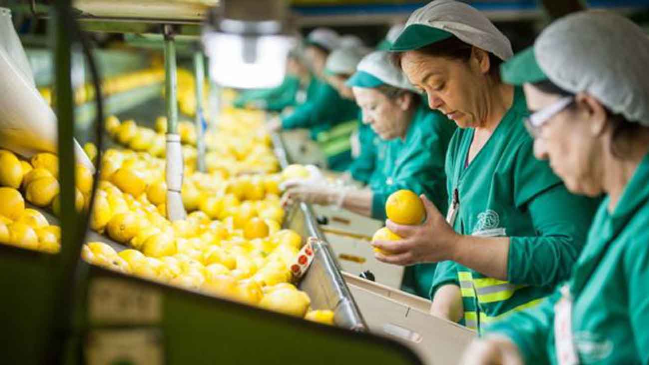 Oferta empleo Operarios Envasado Fruta