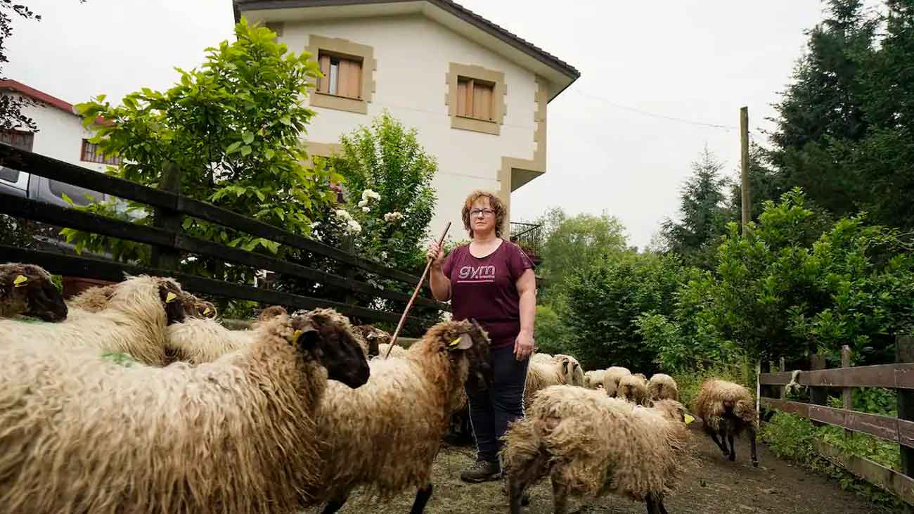 Pueblo busca matrimonio trabajar ovejas