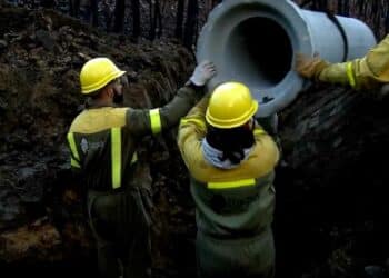 Tragsa busca personal puestos trabajos