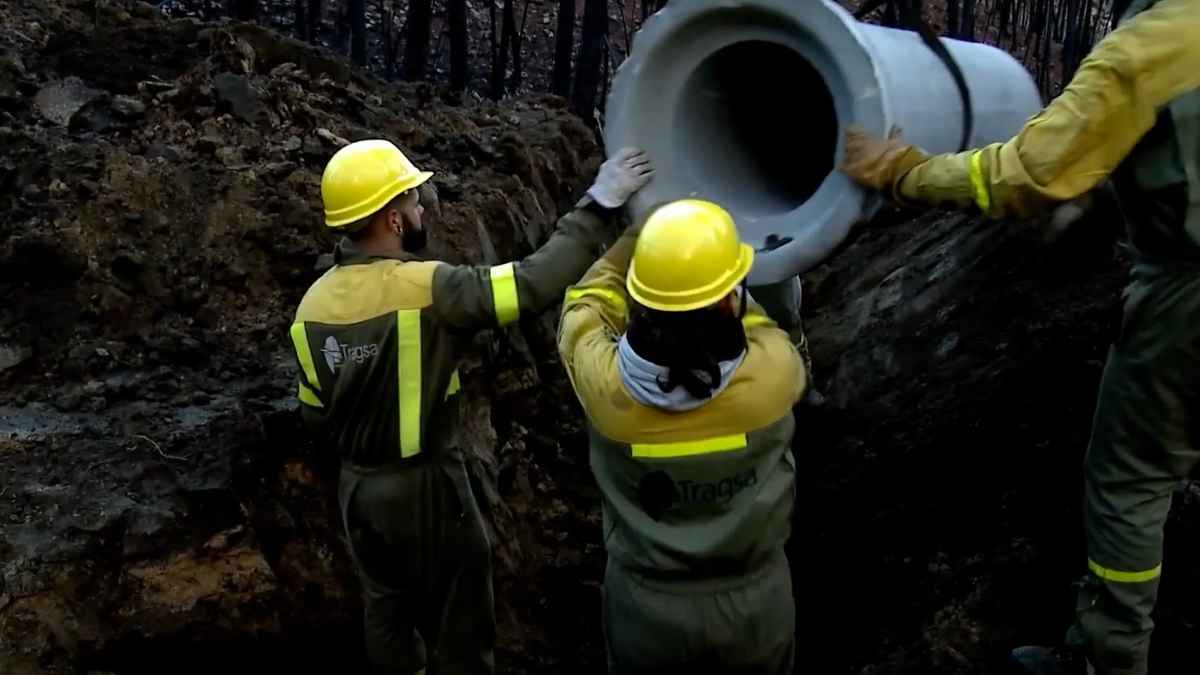 Tragsa busca personal puestos trabajos