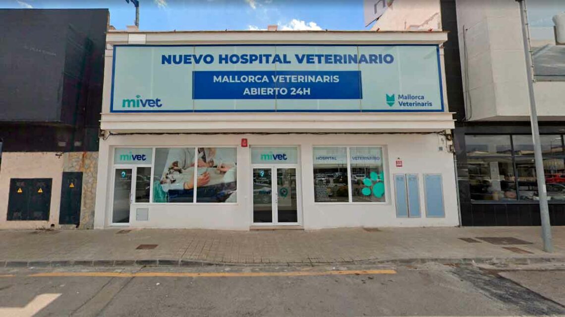 Alojamiento gratis incluido necesitan veterinarios Manacor Mallorca trabajar nuevo hospital MiVet