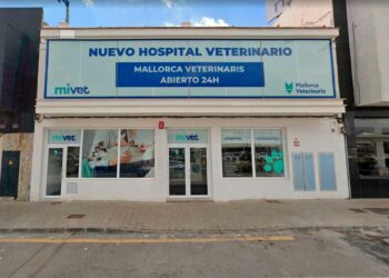 Alojamiento gratis incluido necesitan veterinarios Manacor Mallorca trabajar nuevo hospital MiVet