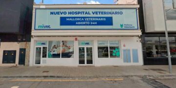 Alojamiento gratis incluido necesitan veterinarios Manacor Mallorca trabajar nuevo hospital MiVet