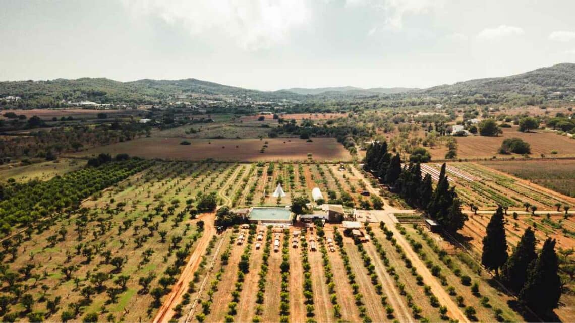 Empresa agroindustrial Ontiñena Huesca responsable finca frutícola