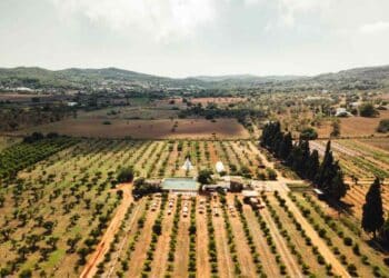 Empresa agroindustrial Ontiñena Huesca responsable finca frutícola