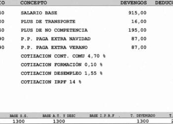 salario bruto neto diferencia