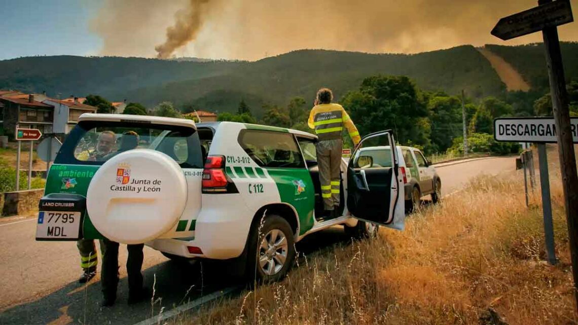 Junta Castilla León convoca plazas agentes medioambientales