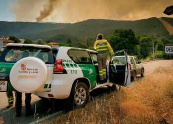 Junta Castilla León convoca plazas agentes medioambientales