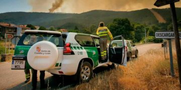 Junta Castilla León convoca plazas agentes medioambientales