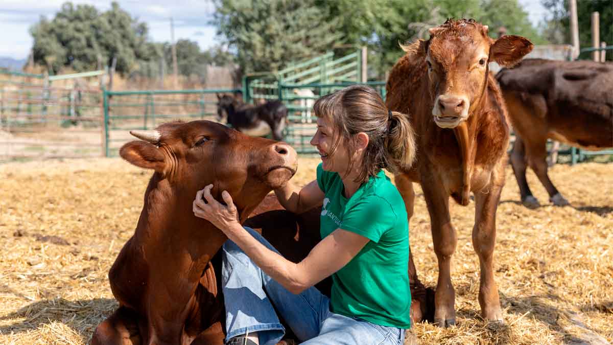 Necesitan personas Villanueva de Perales Madrid para trabajar cuidado animales maltratados