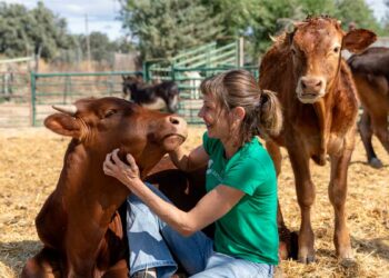 Necesitan personas Villanueva de Perales Madrid para trabajar cuidado animales maltratados