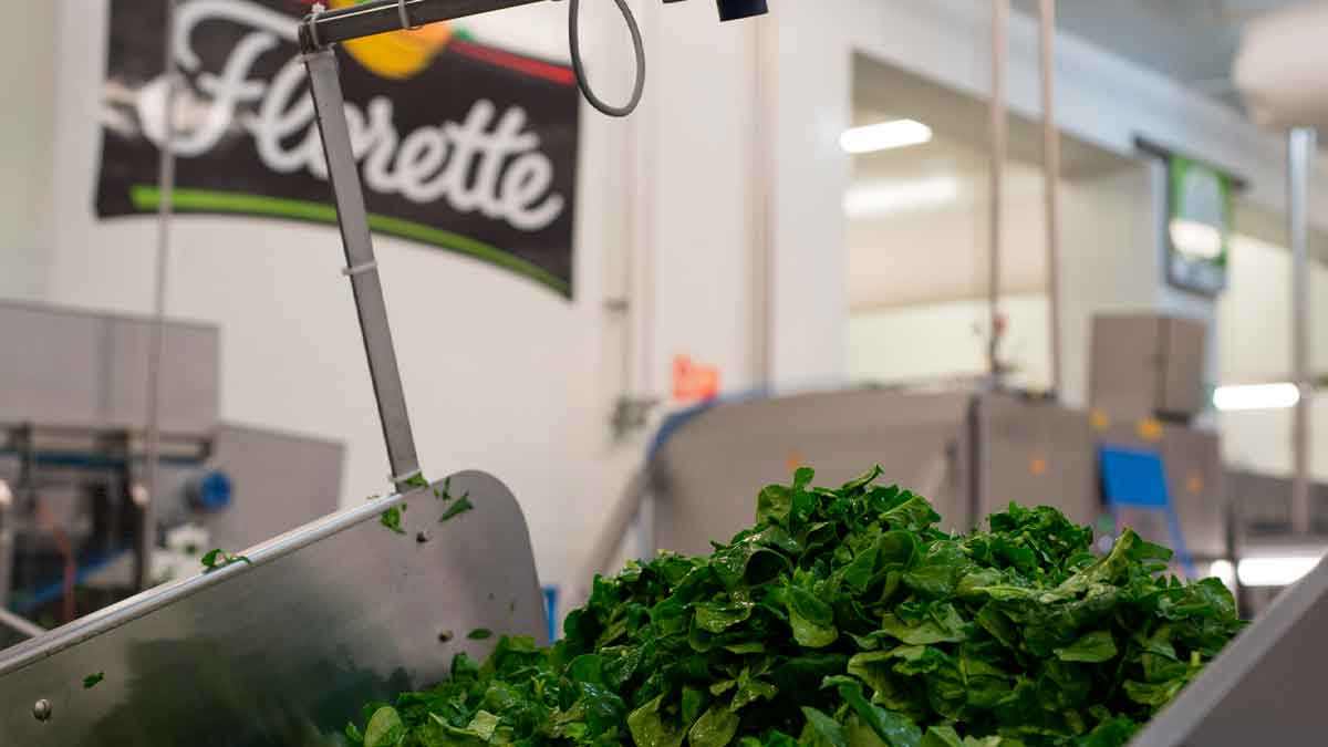 Florette lanza 14 ofertas de empleo.