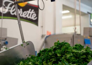 Florette lanza 14 ofertas de empleo.