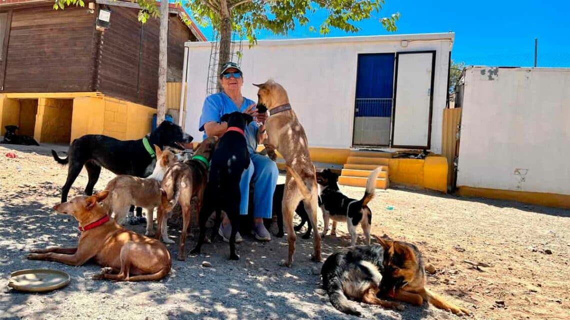 Necesita personal para trabajar refugios animales 20 horas semana cobrando 1400 euros