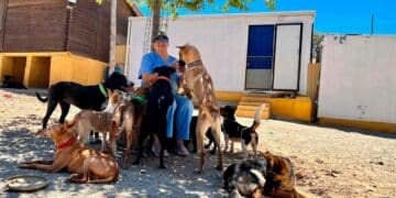 Necesita personal para trabajar refugios animales 20 horas semana cobrando 1400 euros