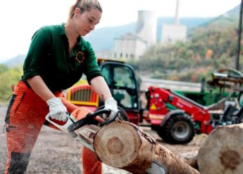 Se publican 186 ofertas de empleo para trabajar en el sector forestal.