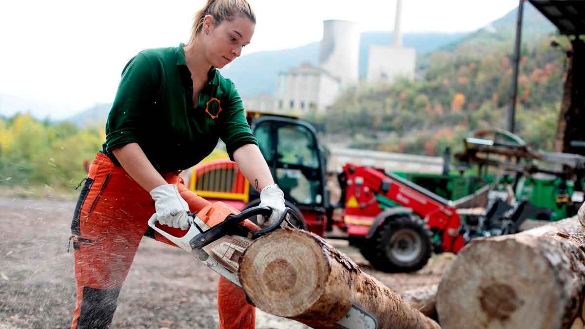 Se publican 186 ofertas de empleo para trabajar en el sector forestal.