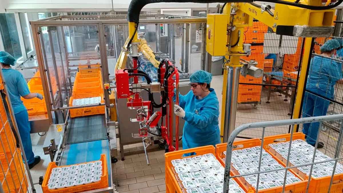 Oferta de empleo con 65 vacantes para trabajar de manipulador de alimentos.