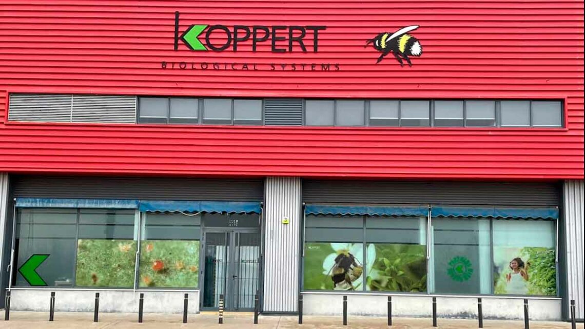 Urge contratar personal Carrión de los Céspedes Sevilla para trabajar Koppert