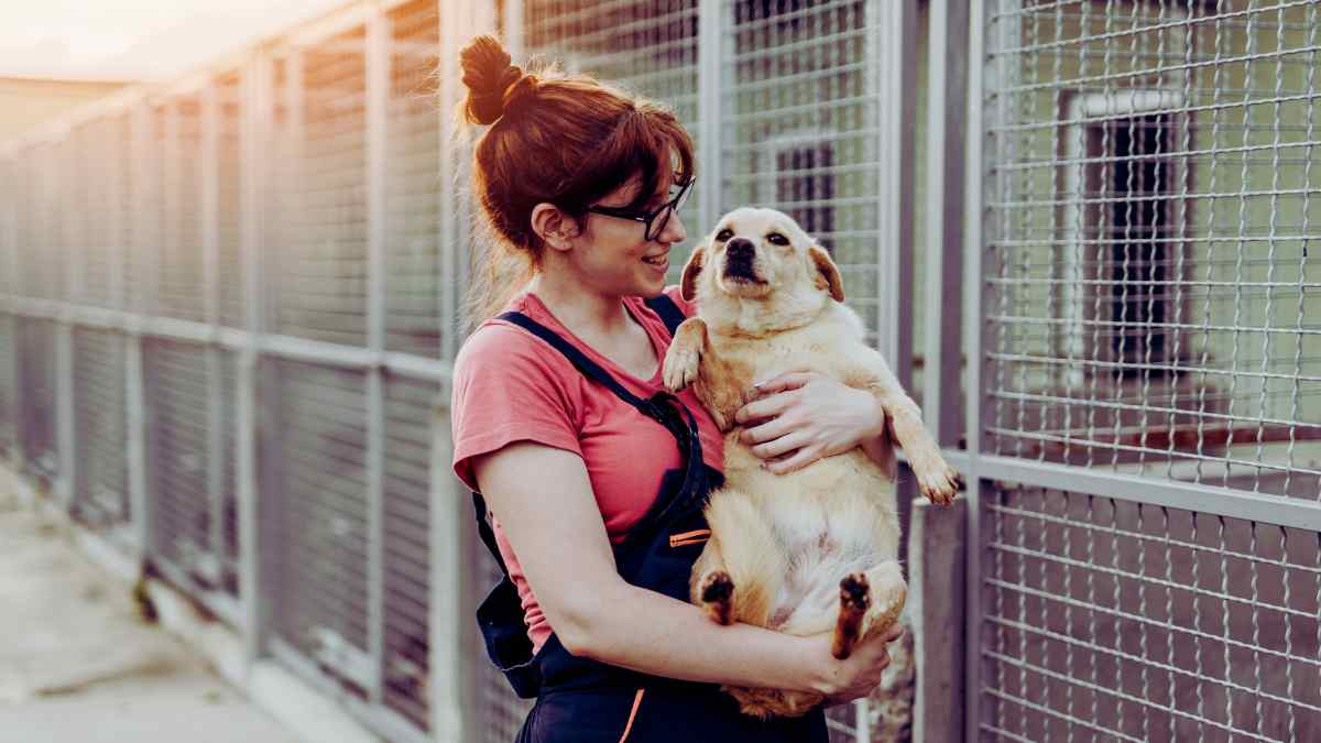 Mujer cuidadora de animales sosteniendo un perro en un refugio