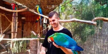 animales necesita personal puerto cruz tenerife cuidar loros