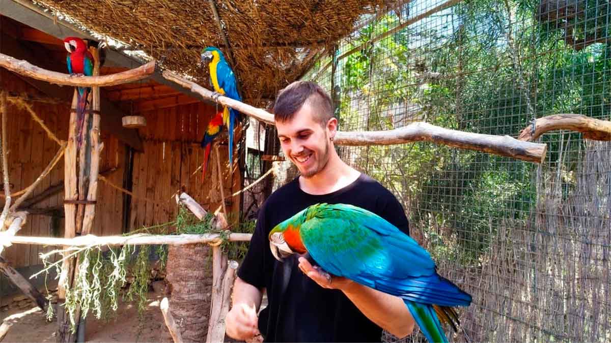 animales necesita personal puerto cruz tenerife cuidar loros