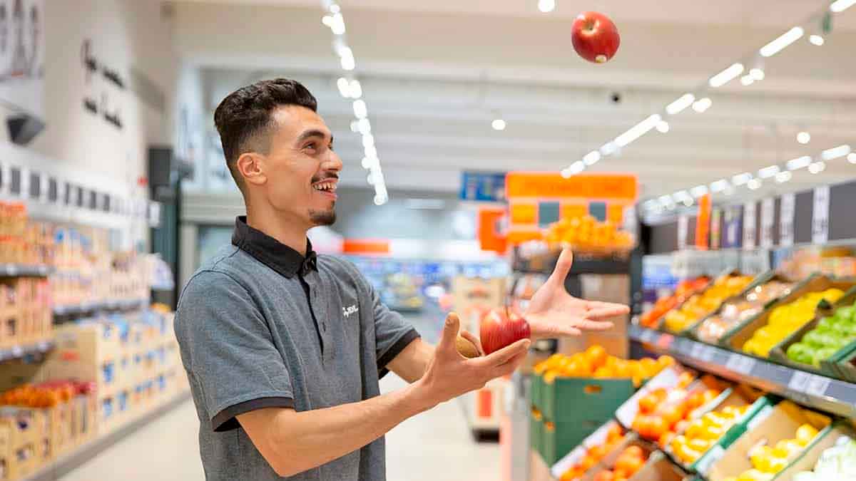 Pasos para enviar el currículum a Lidl.