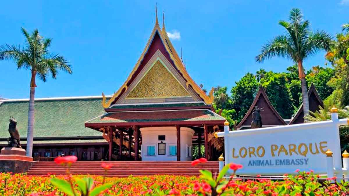 Loro Parque lanza una oferta de empleo para trabajar en el zoo.