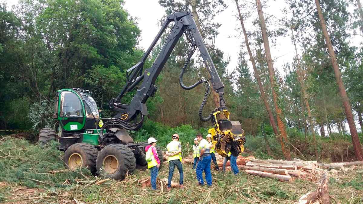 Se publican 295 ofertas de empleo para trabajar en el sector forestal.