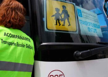 sepe trabajar acompanante escolar