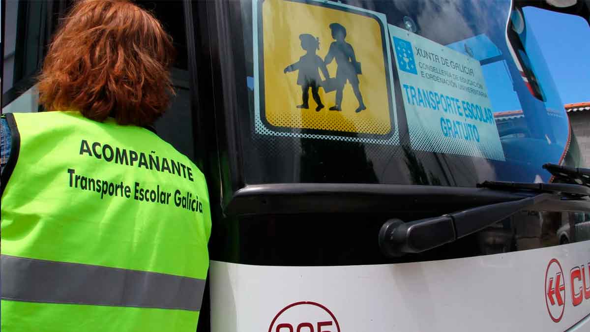 sepe trabajar acompanante escolar