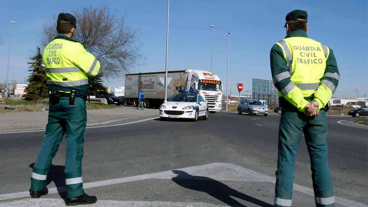 dgt crea aplicacion empresas transporte controlen puntos tienen trabajadores