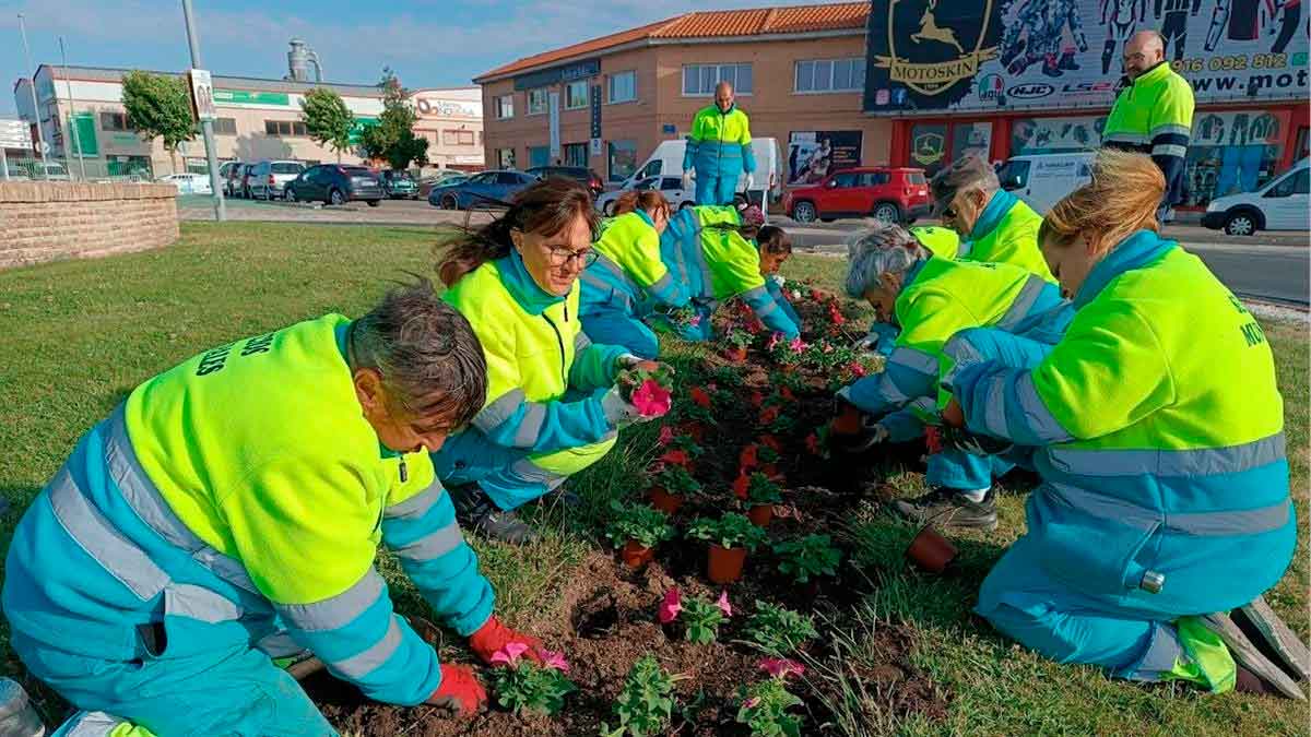 Curso gratuito de jardinería.