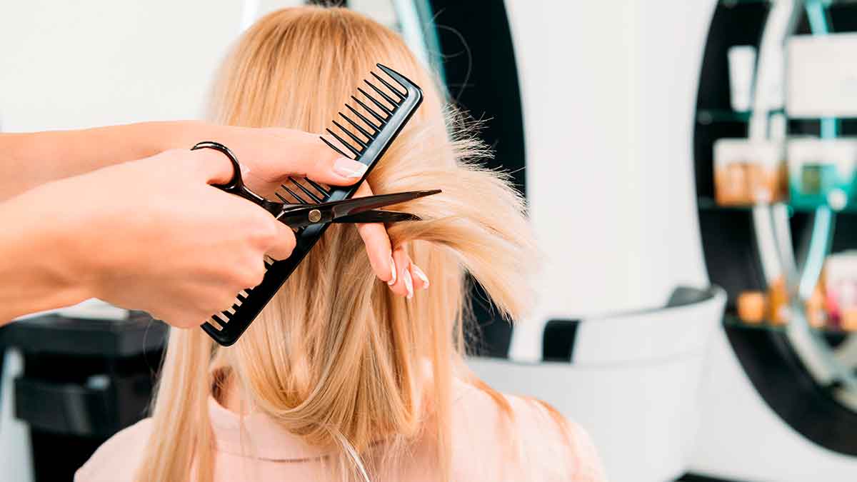 Curso gratuito de peluquería.