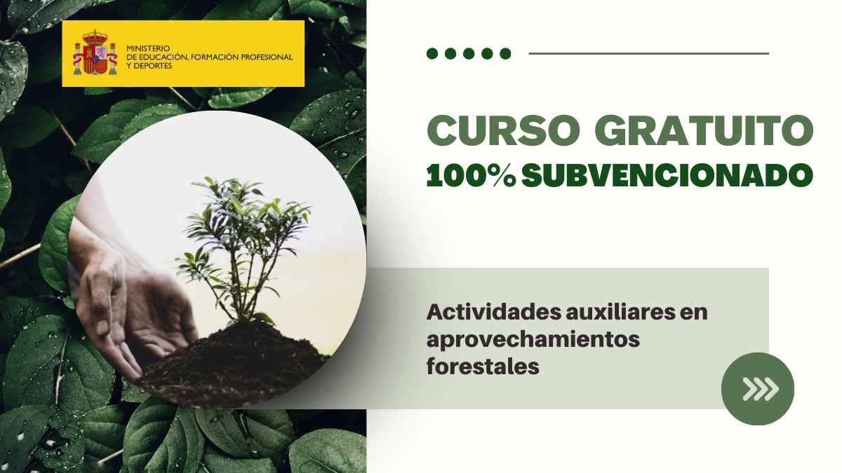 ministerio educación formacion profesional lanza nuevo curso gratuito actividades forestales