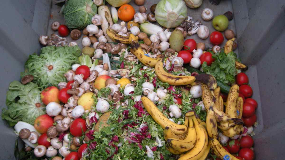 Contenedor con frutas y verduras desperdiciadas, sujeto a multas de hasta 100.000 euros según la nueva Ley contra el desperdicio alimentario