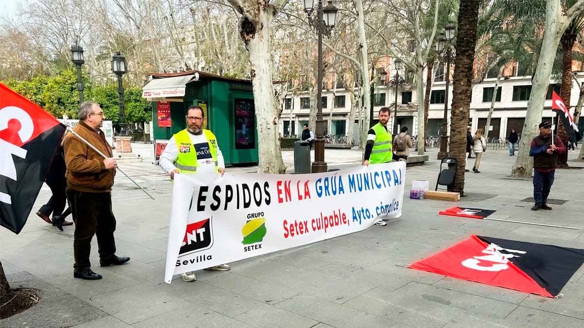 polemica sevilla despidos conflictos nueva gestion grua municipal