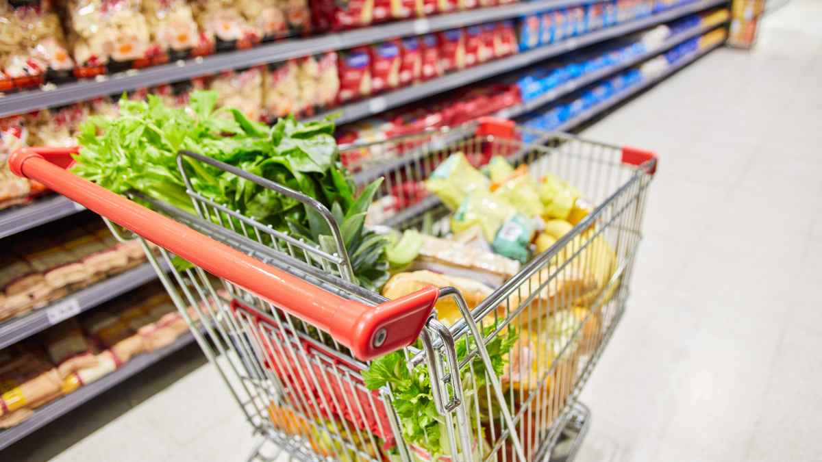 Carrito de supermercado y básicos, representando la Ayuda Alimentaria en España.
