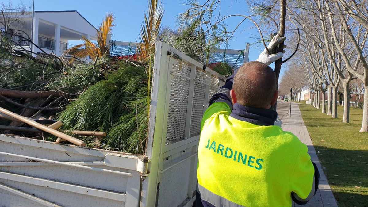 Jardinero realizando un curso gratis del SEPE