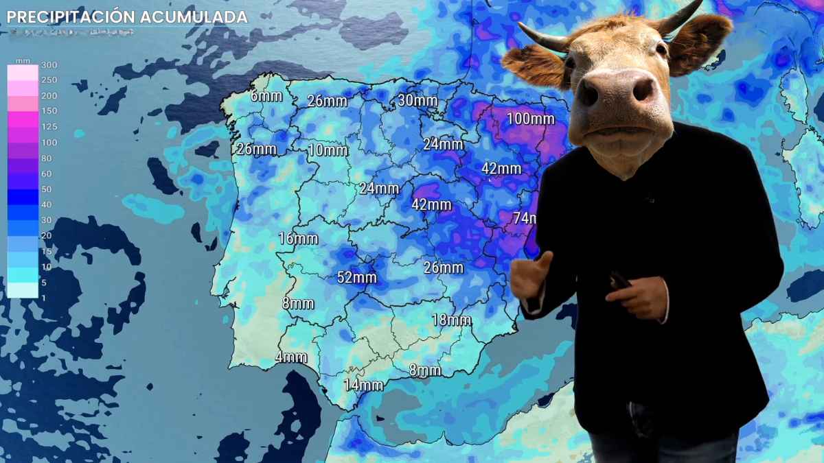 adios aemet estos animales son capaces de predecir el tiempo mejor que cualquier meteorologo