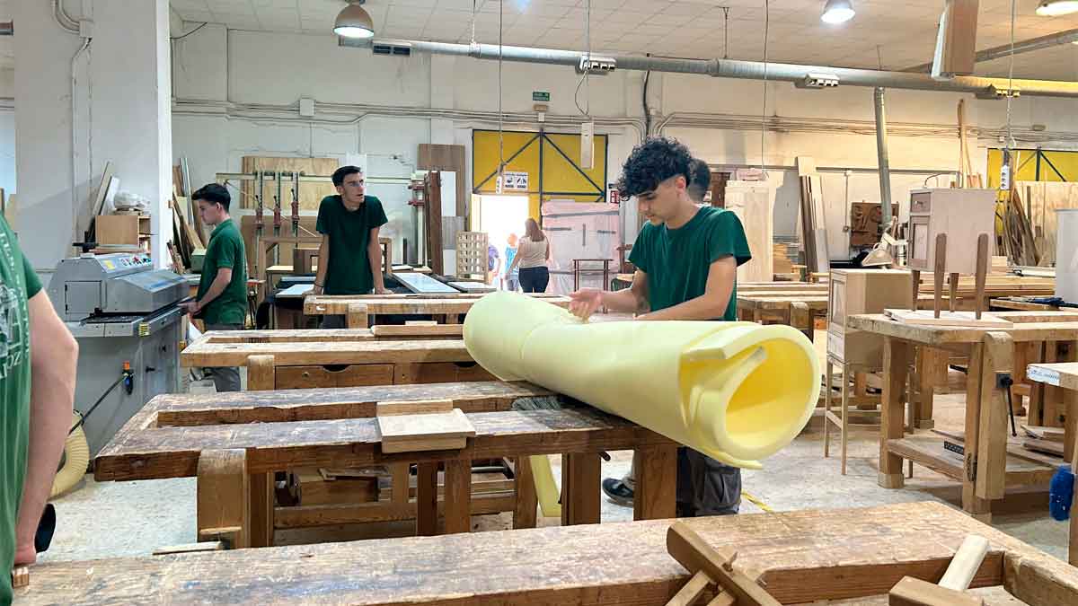 cambio radical estudiar fp despidete eso bachillerato requisitos