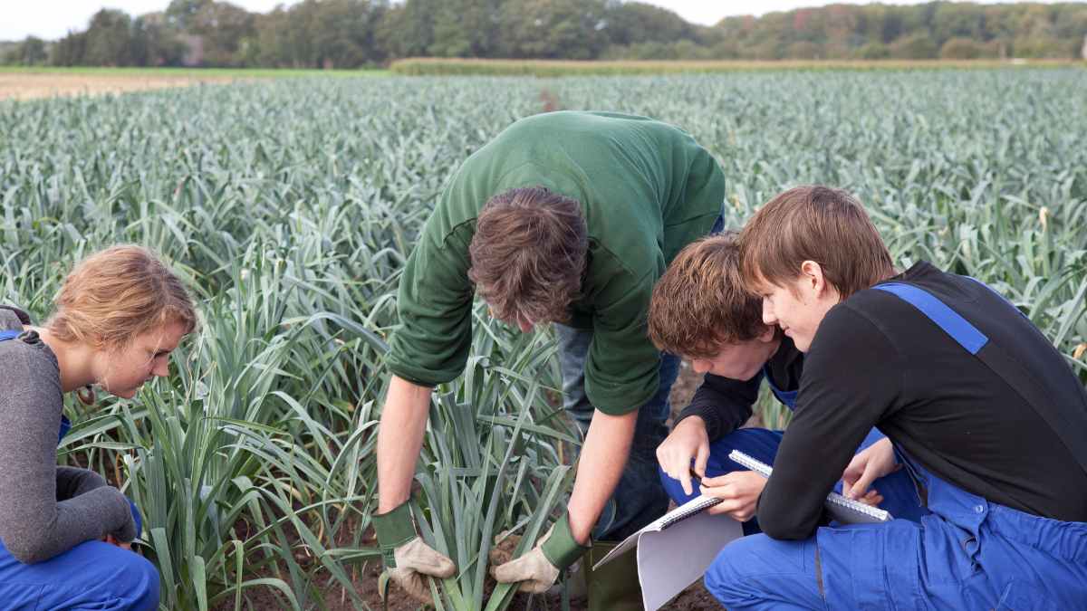 Alumnos realizando curso gratis de Actividades Auxiliares en Agricultura.